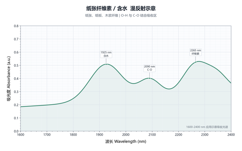 纸张纤维素含水漫反射示意